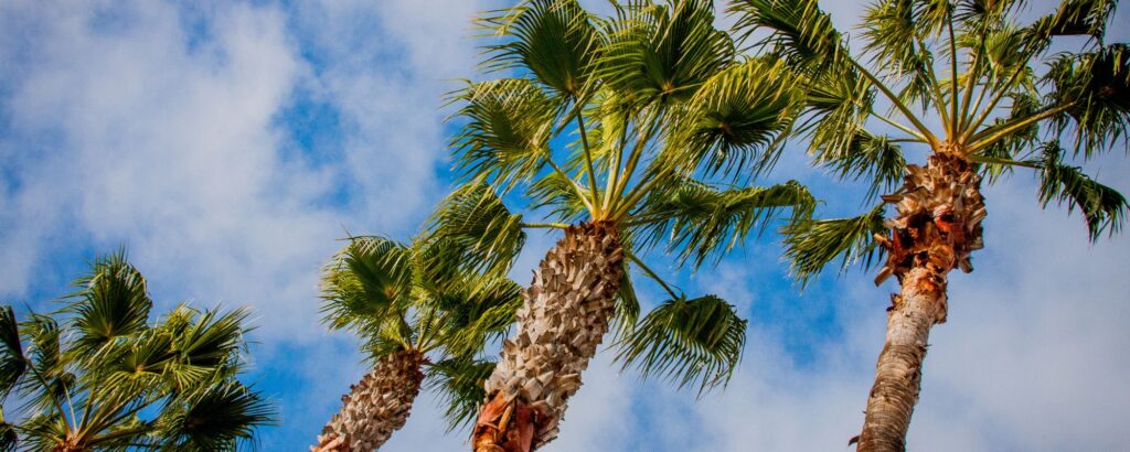 Santa Ana Detox Center